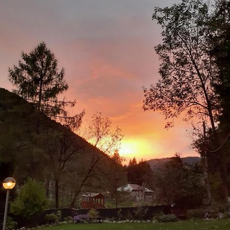 Soggiorno Vacanze Stella Alpina Temu Bagian luar foto