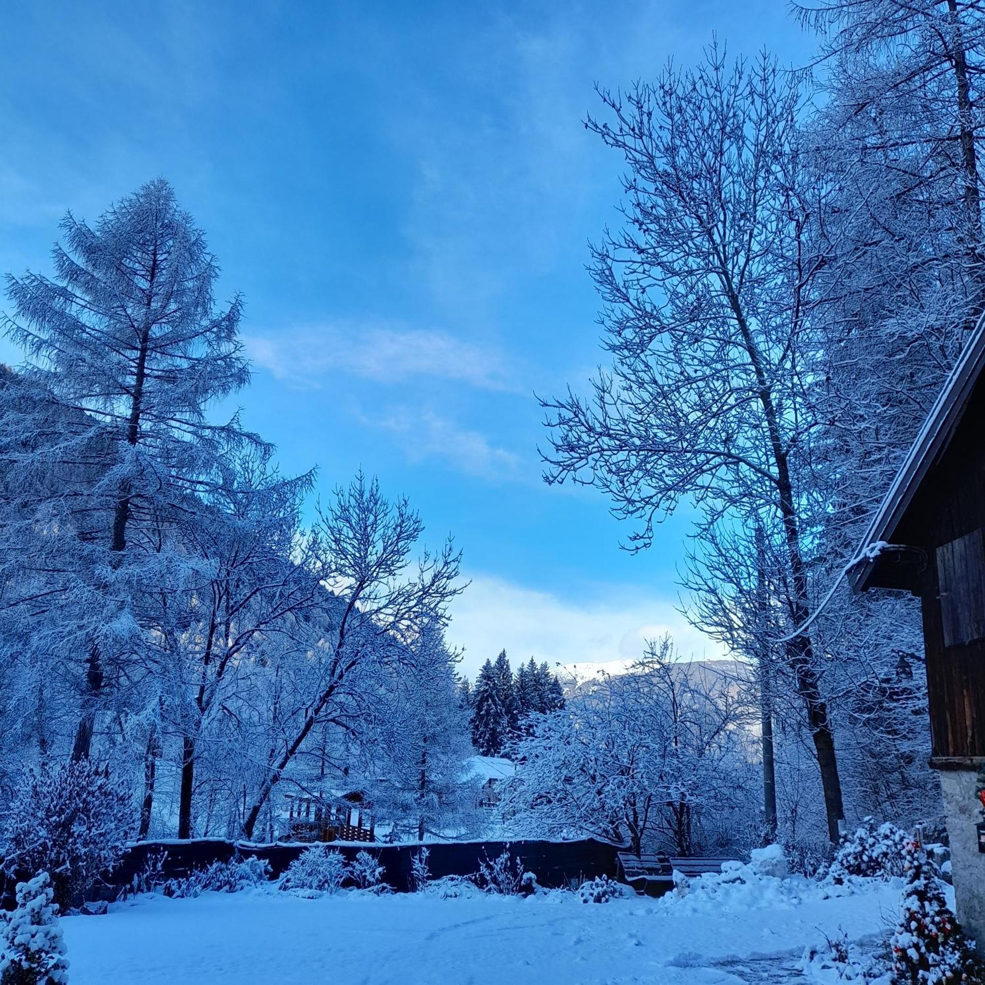 Soggiorno Vacanze Stella Alpina Temu Bagian luar foto