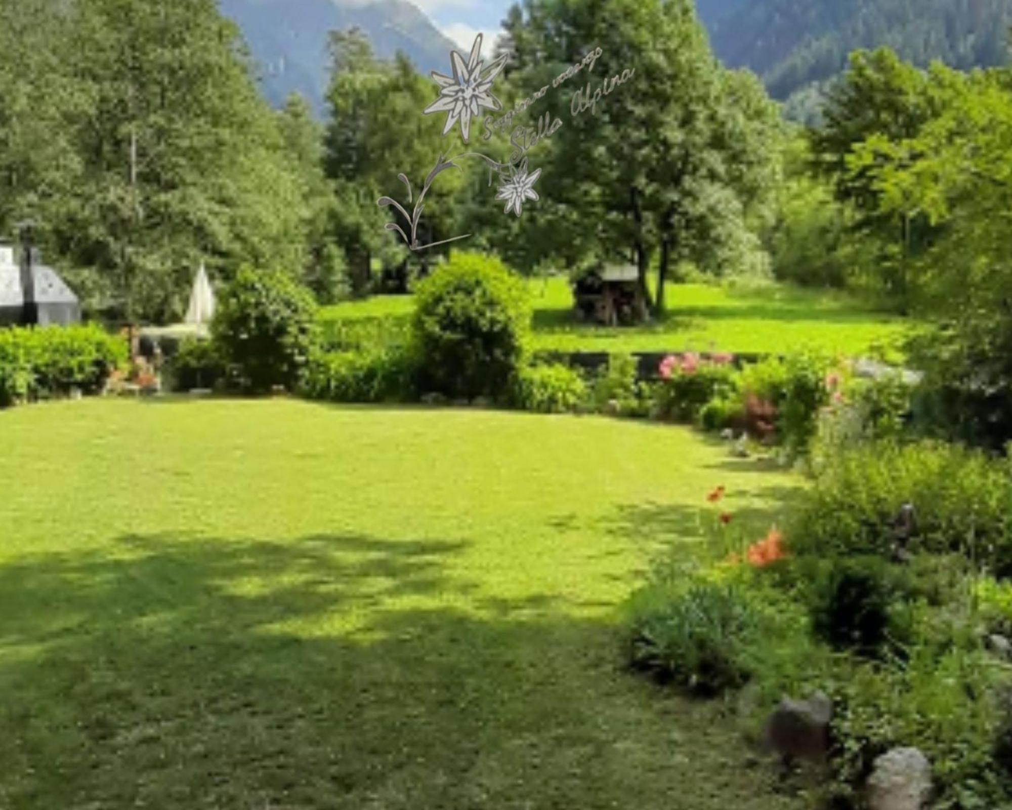 Soggiorno Vacanze Stella Alpina Temu Bagian luar foto